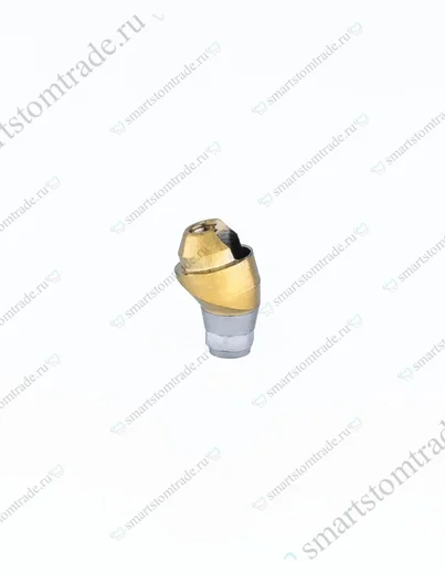 Угловой абатмент Multi Unit совместимый с TiN Дентиум Имплантиум 15° H=2мм/ Dentium Implantium 15° H=2мм с держателем