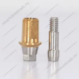 Титановое основание, совместимое с TiN Flat, / Осстем / Osstem Regular h=1, для одиночных конструкций